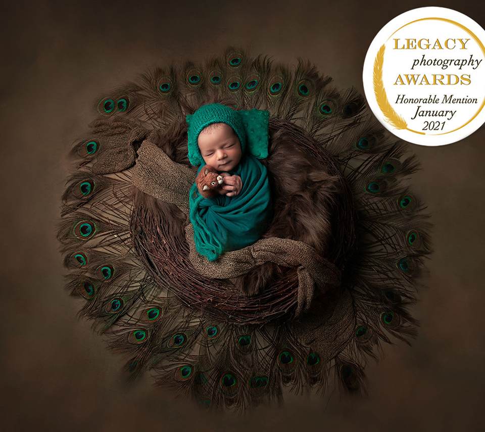 Nouveau-né emmailloté en vert dans un nid de plumes de paon — Legacy Photography Awards Honorable Mention janvier 2021 — Stéphanie Azémard photographe Montpellier